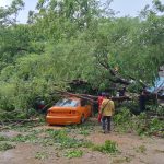 Akibat Hujan Deras dan Angin Kencang, Pohon Tumbang Hantam 6 Unit Mobil 1 Pondok Hancur